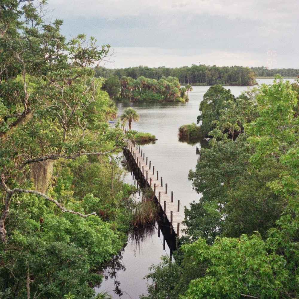 Meet your Posher, Jenny